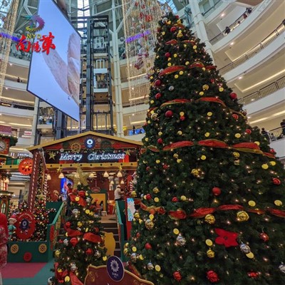 Velikanska božična drevesa